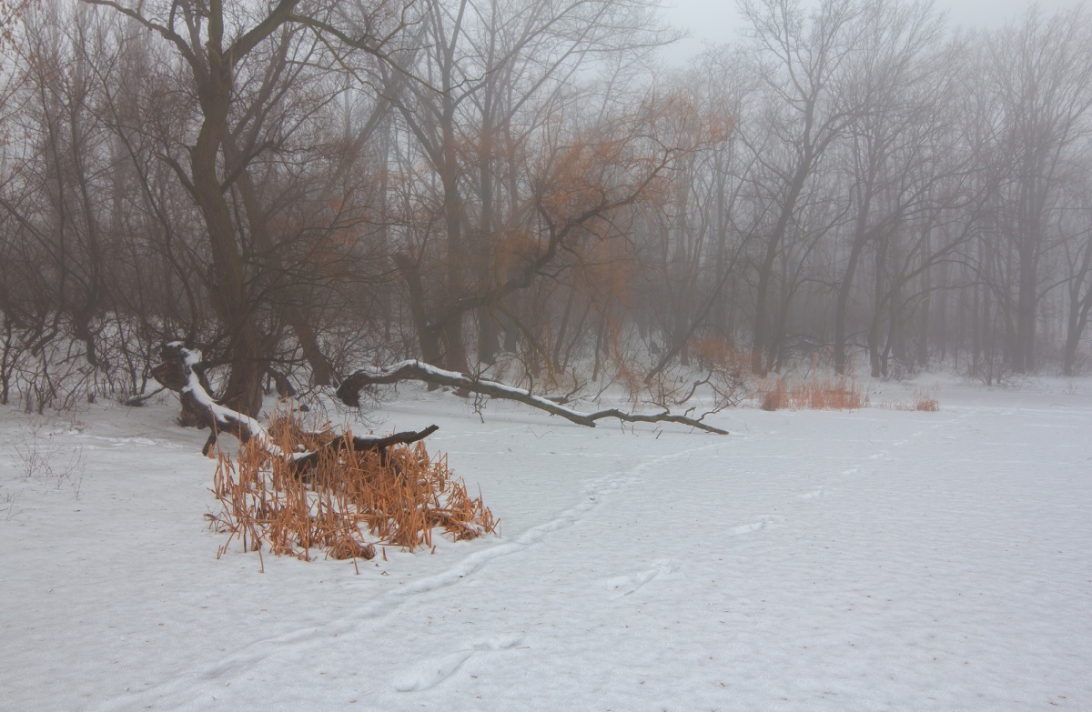 Auch im Winter, haben ihre eigenen Farbe