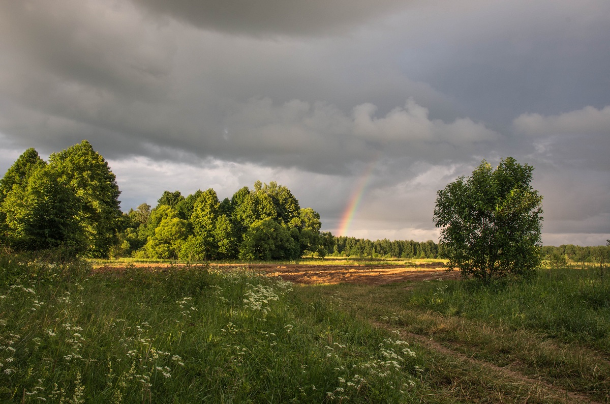 Regenbogen über einer Wolke ...