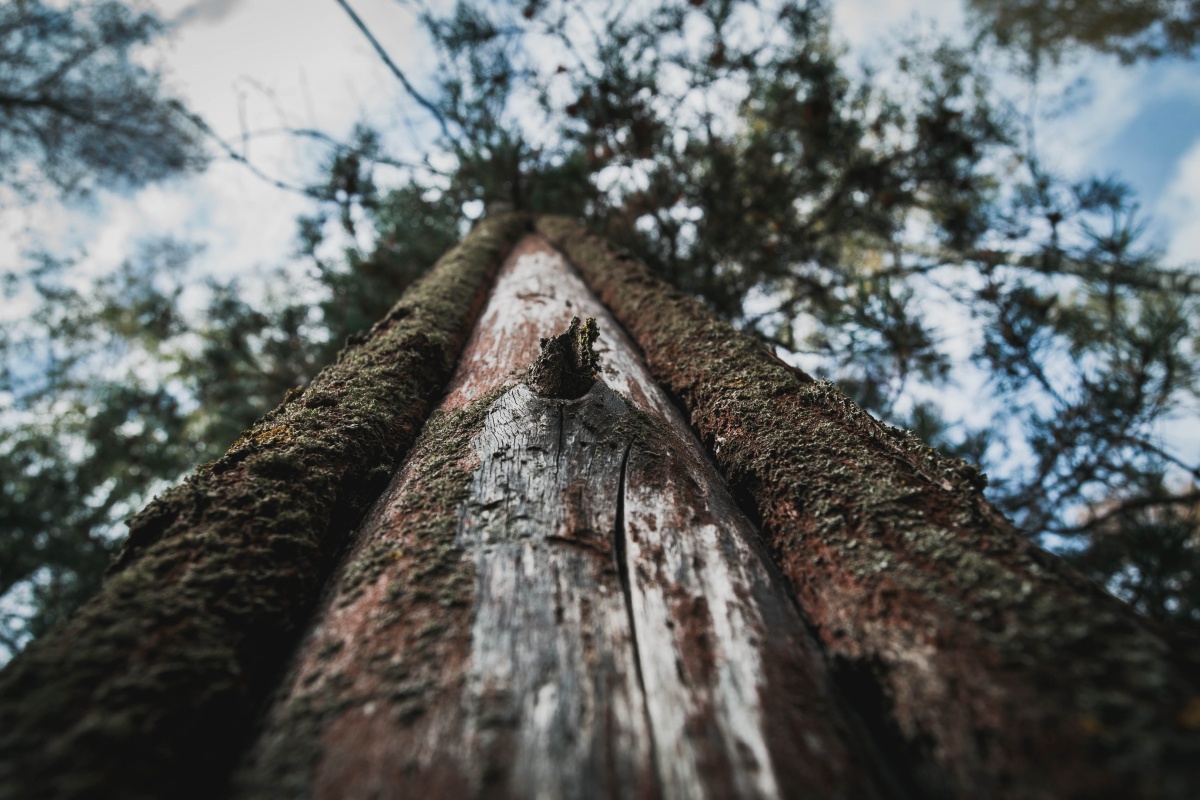 Auf dem Weg zum Himmel