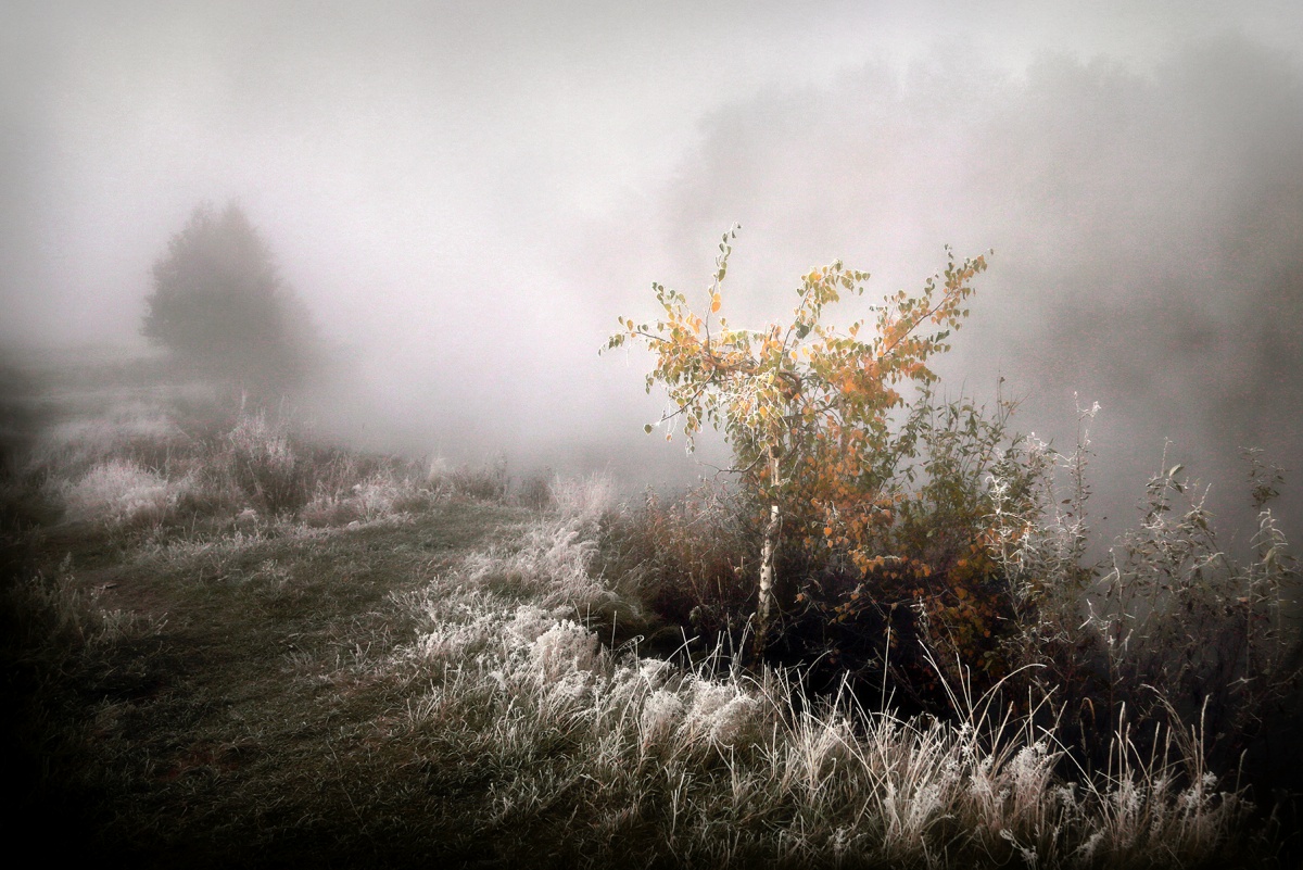 Konfrontation ... 2 ..