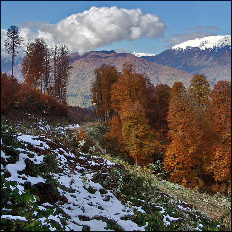 Herbst auf der "Krasnaja Poljana"