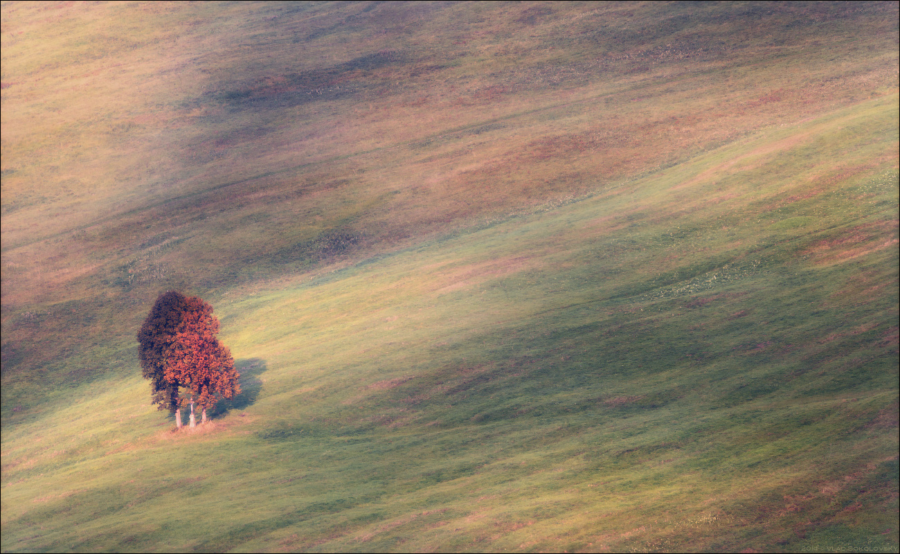 / Palette des Herbstes /