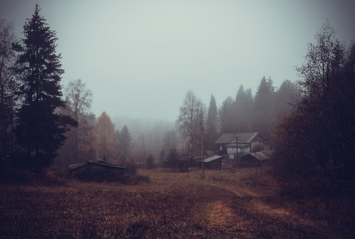 Nebel im Oktober ...