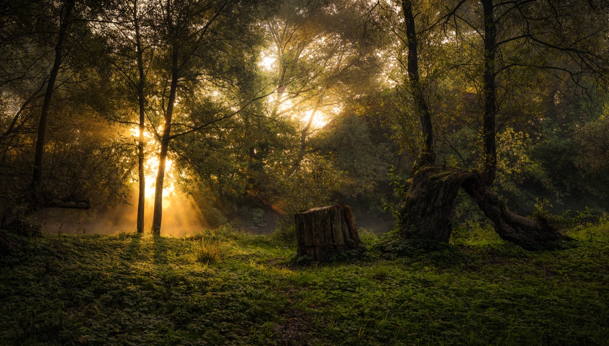 "Do Hexen Wasser ....."