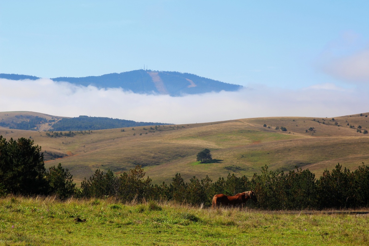 Auf den Hügeln von Serbien