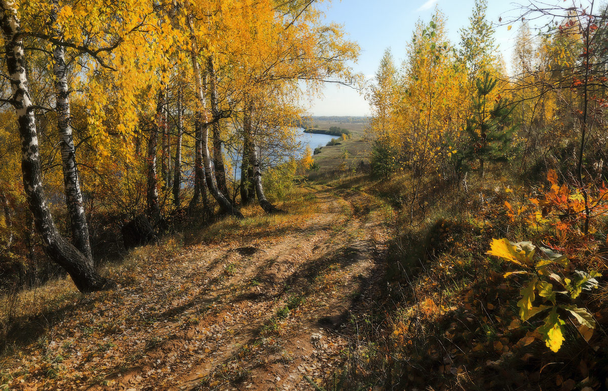 In der Mittagssonne im Oktober