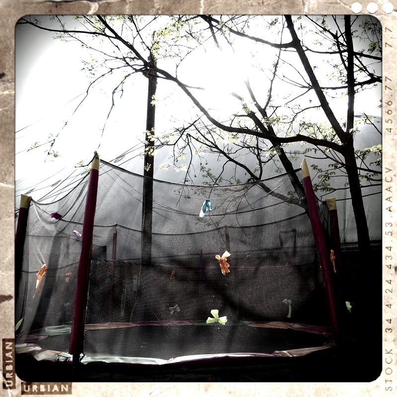 Gott weiß, was und Seitenbogen