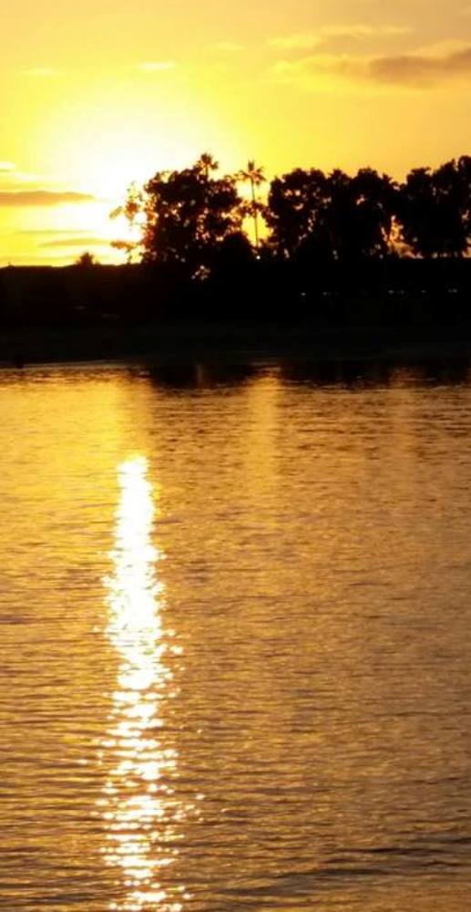 gelb Sonnenuntergang