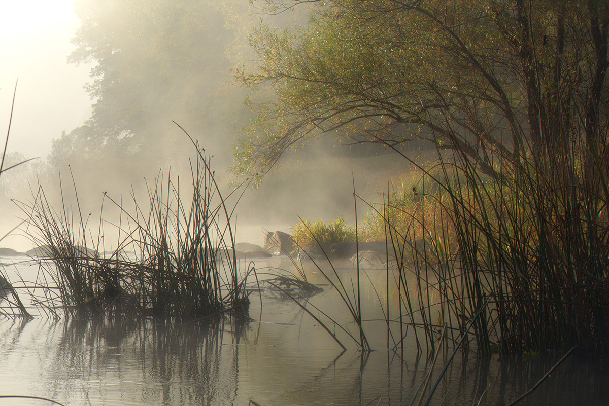 Zärtlichkeit Oktober.