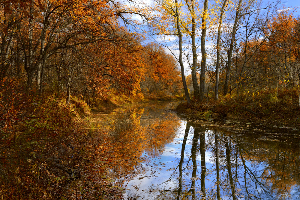 Mit leichter Traurigkeit.