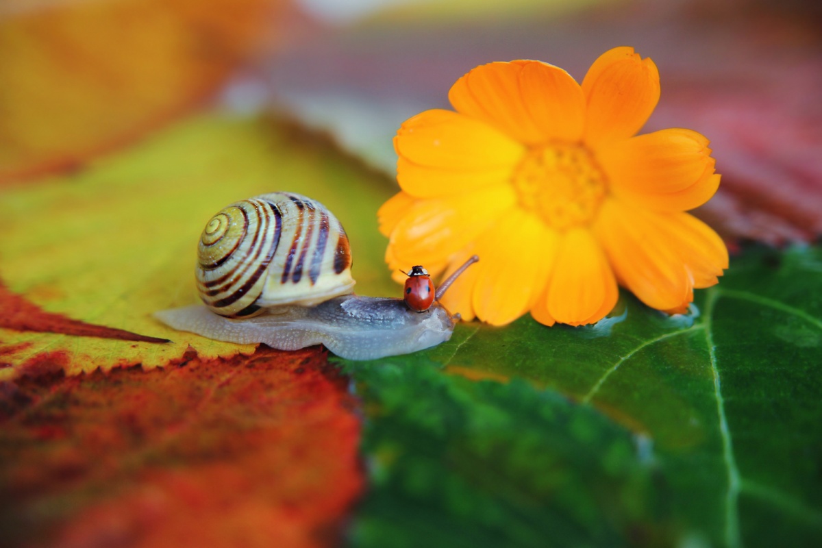 Und was gibt es heute zeigen?