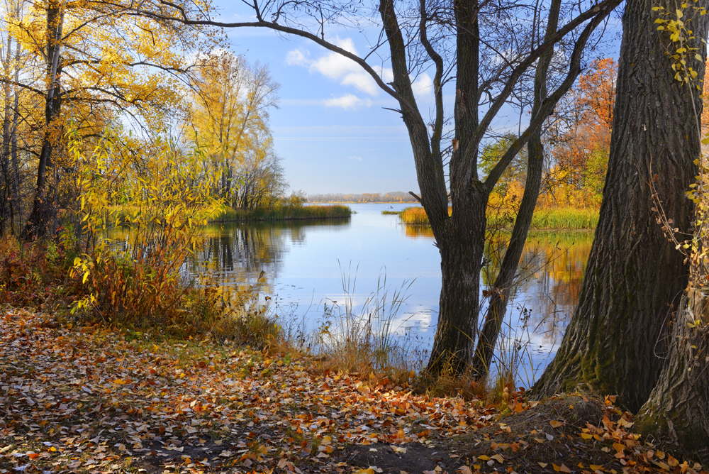 An einem warmen Herbst.