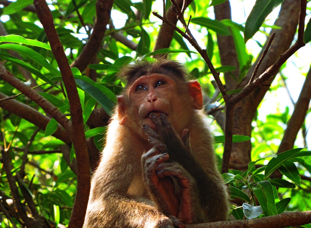 Bis in den Himmel! ..