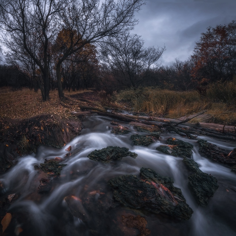 Stimmung im November