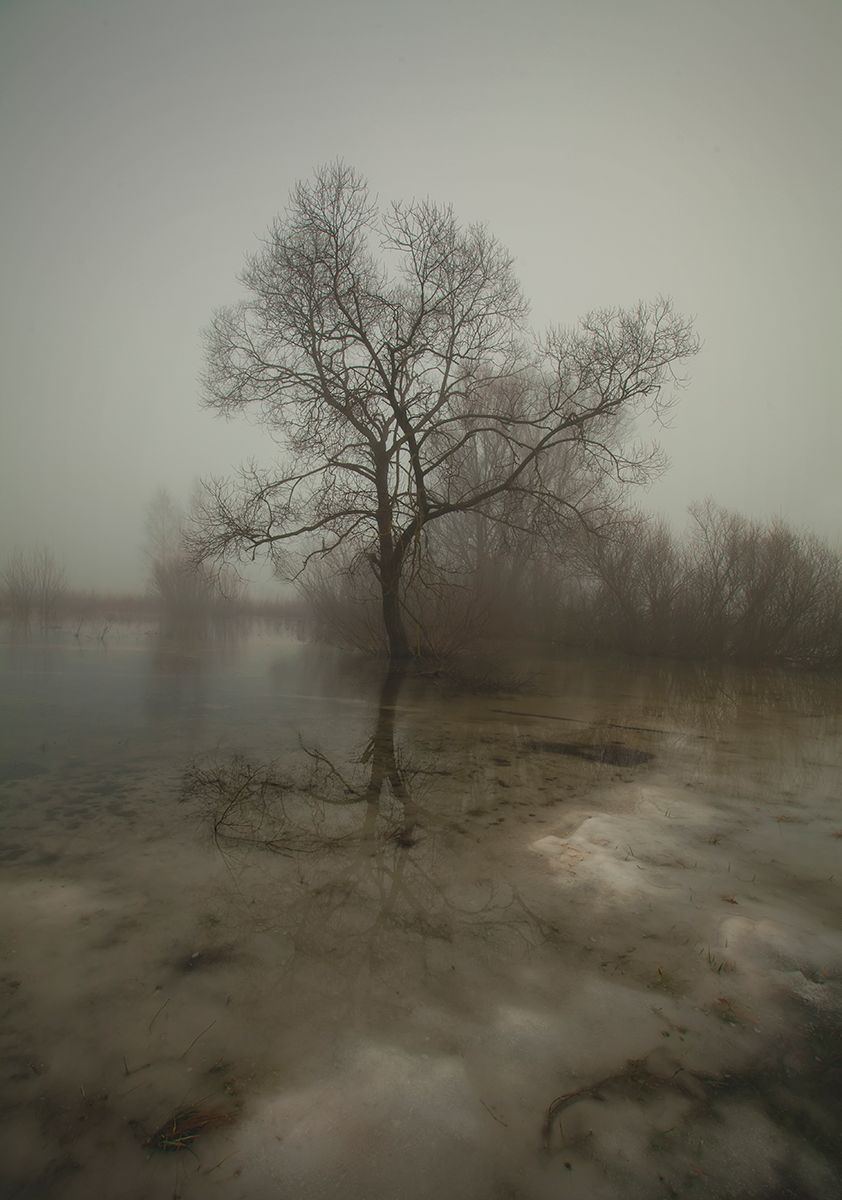 "Mood Indigo" / "Mood Indigo"