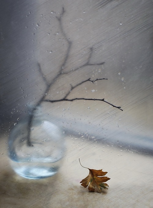 Fliegt im Oktober ....