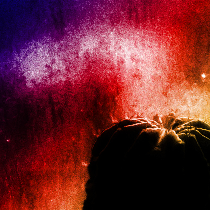 "Mood Indigo" / "Mood Indigo"