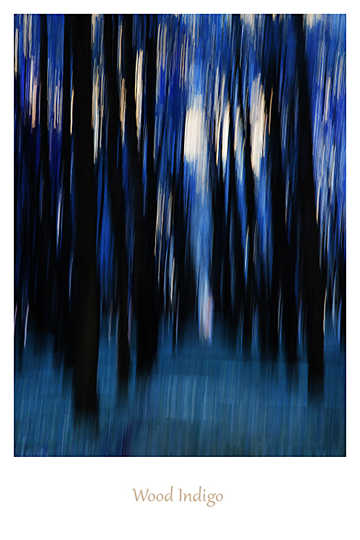 Wood Indigo