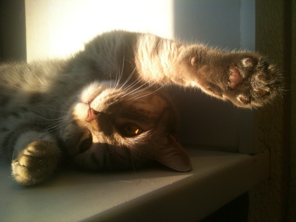 "Mood Indigo" / "Mood Indigo"