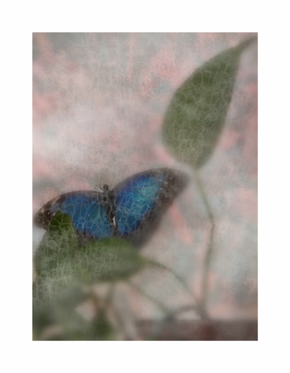 "Mood Indigo" / "Mood Indigo"