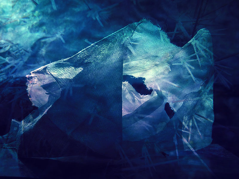 "Mood Indigo" / "Mood Indigo"