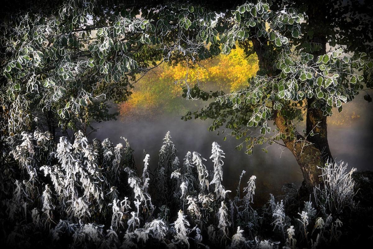 In der Belagerung von ...