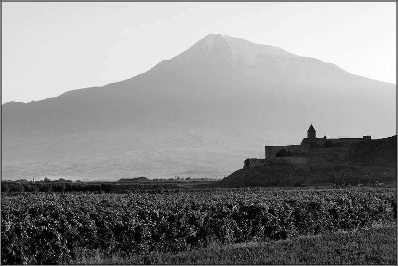 Ararat