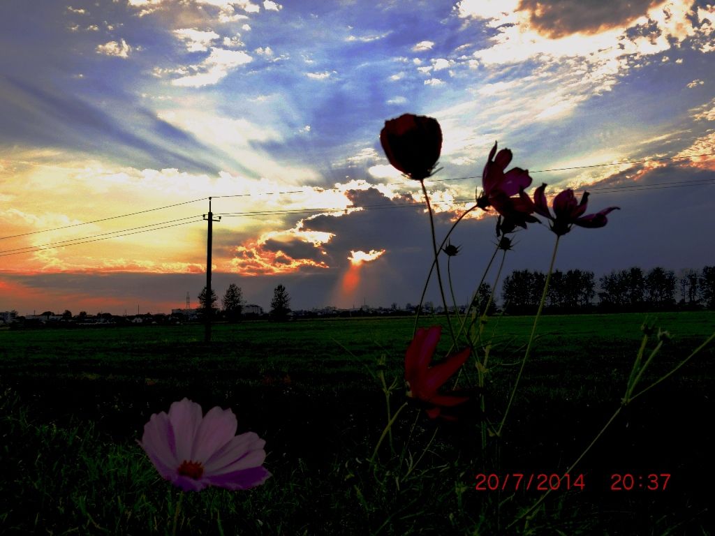 heimatlichen Landschaft vor einer langen Reise **