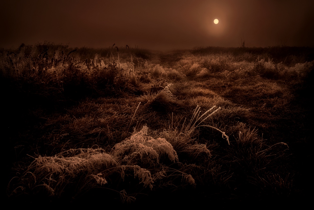 Und der Morgen kam auf dem Planeten ... 3.