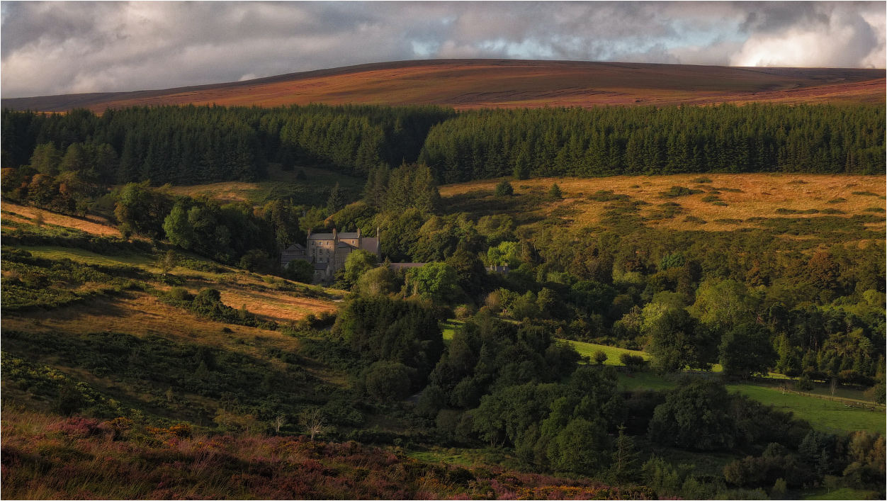 ... In einer abgelegenen Ecke des ...