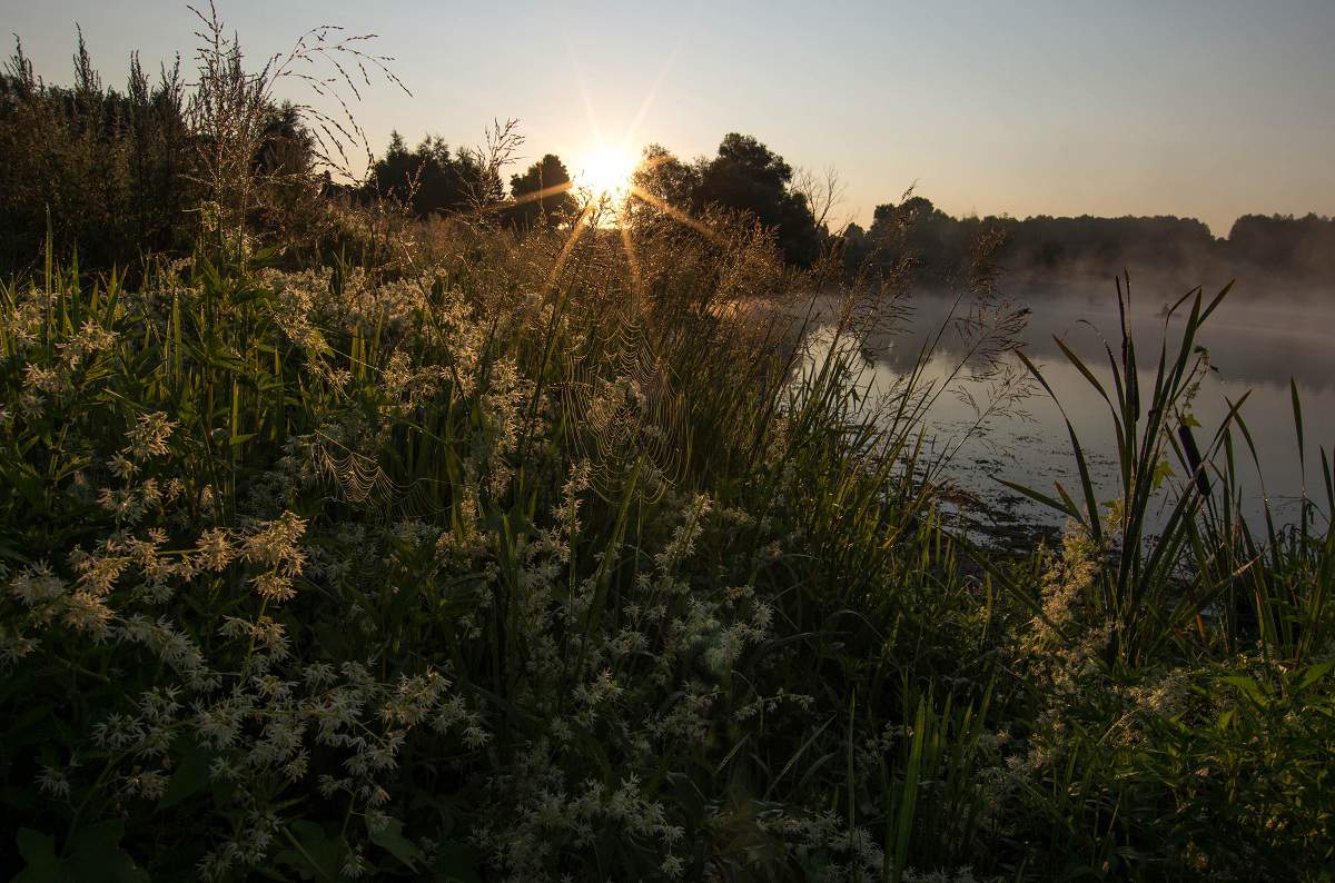 Über Tau und Nebel ...