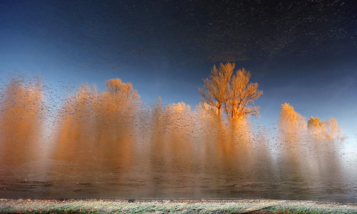 Im Vorgriff auf die November