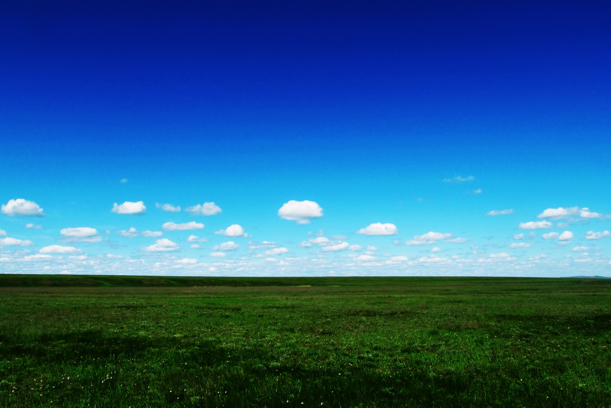 Primanychskaya Steppe. Rostov Reserve.