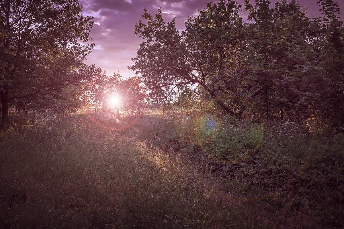 Sonnenuntergang am Rande der Stadt