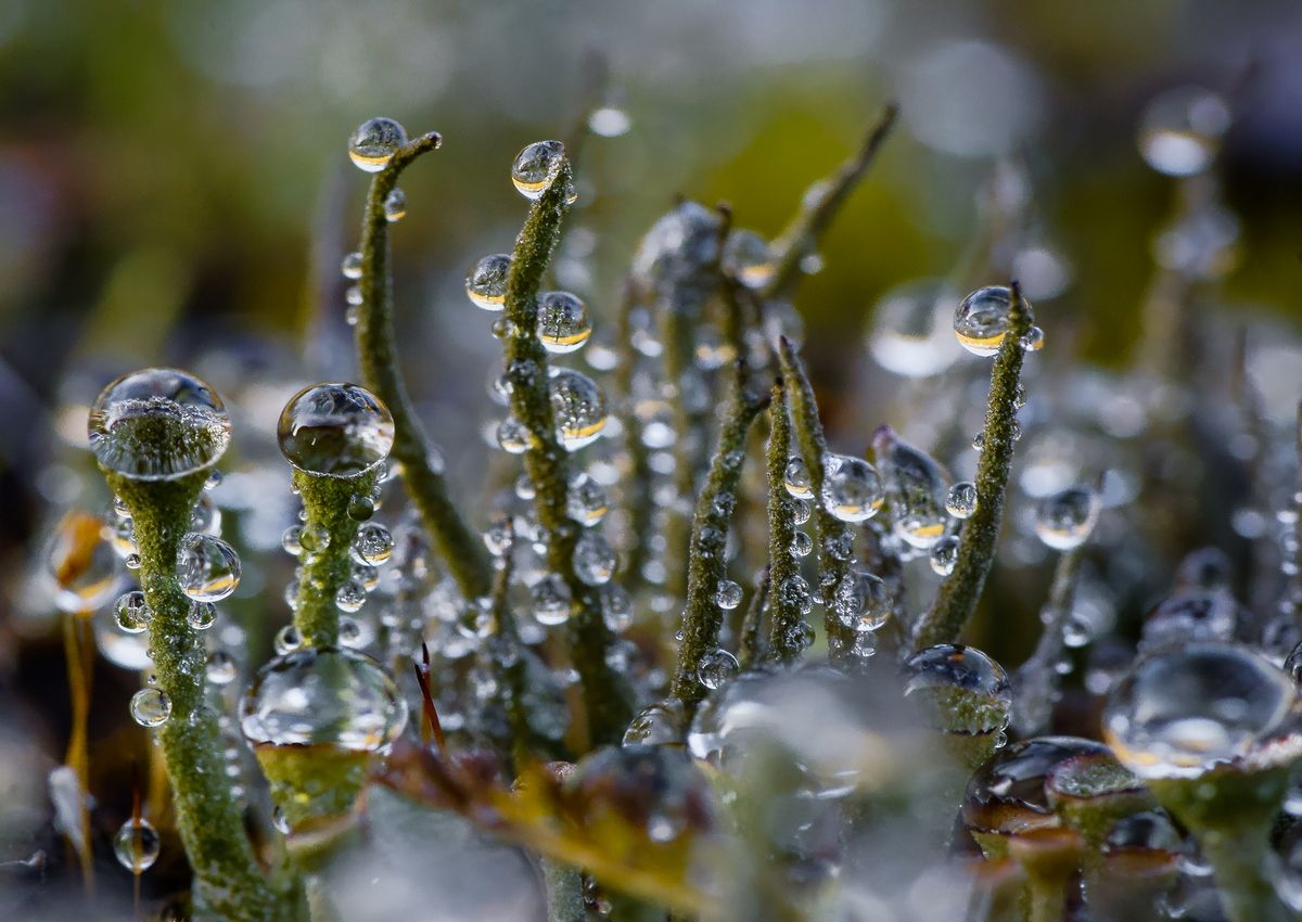 Die Launen der Spätherbst ...