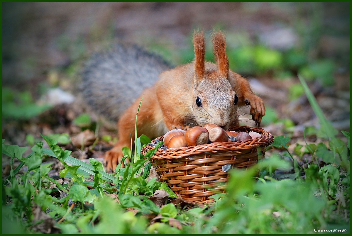 Leise, auf Zehenspitzen.