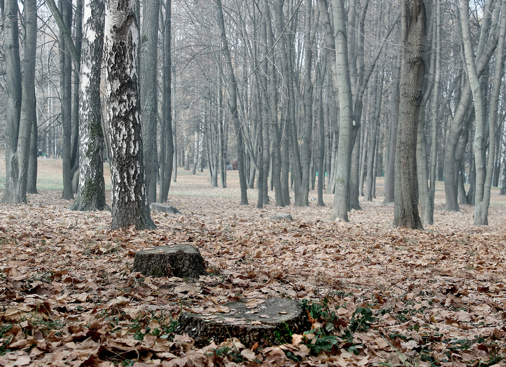 Und hier endete die goldenen Herbst ...