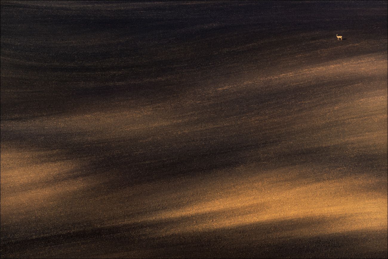 / Landschaft mit Rogen /