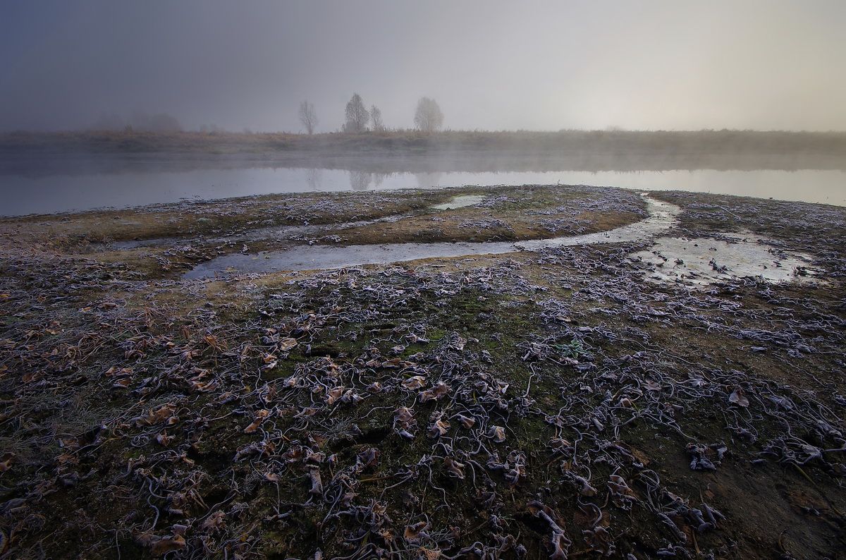 Wilting ist an der Zeit