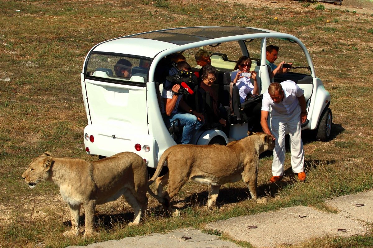 Unter zuverlässigen Schutz