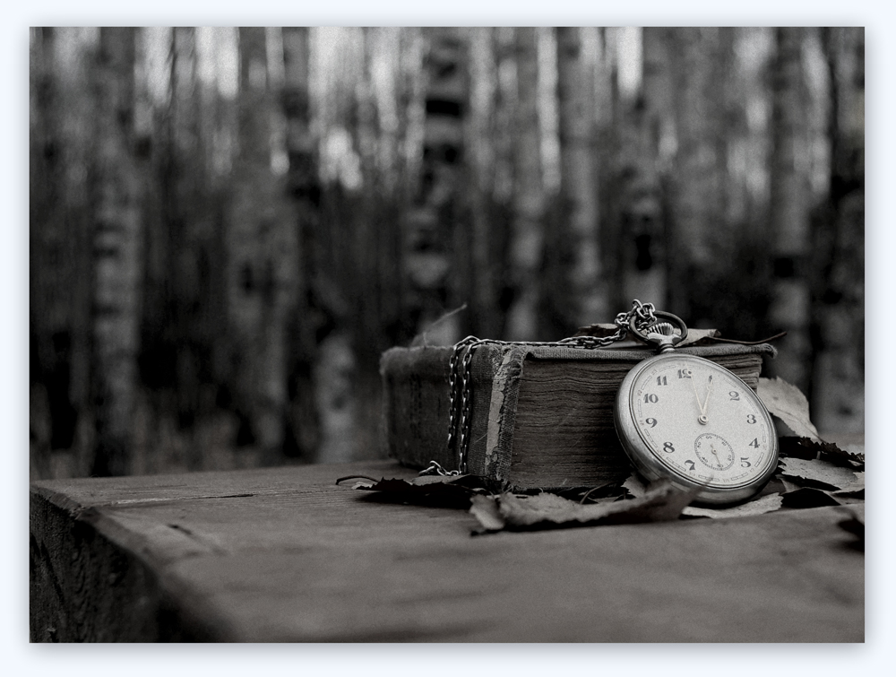 Unter den Birken Mittelstreifen ...