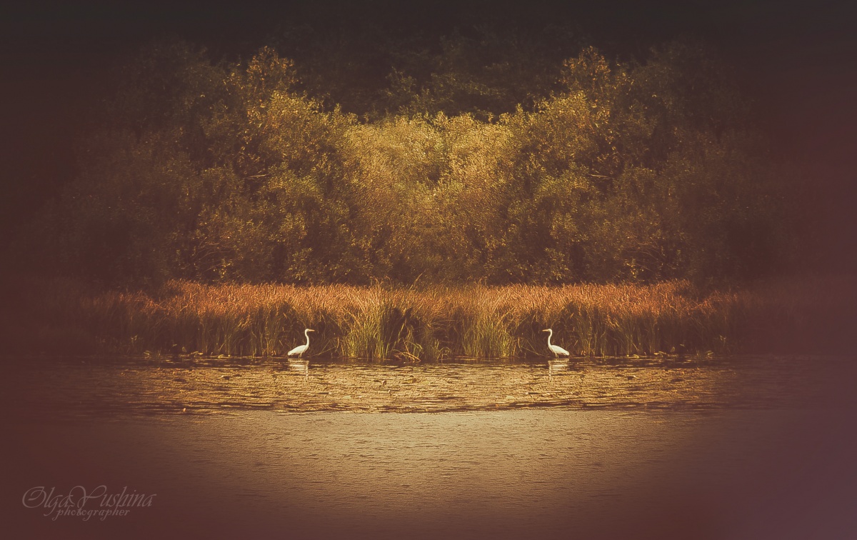 Sucht mein Herz in der verlorenen Welt ...