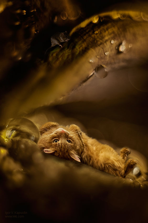 ruhiges Gespräch "für das Leben"