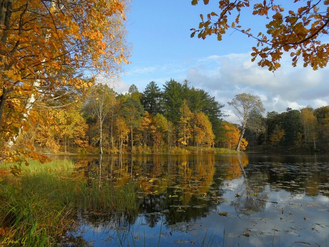 Dort, in dem Fall der ursprünglichen ...
