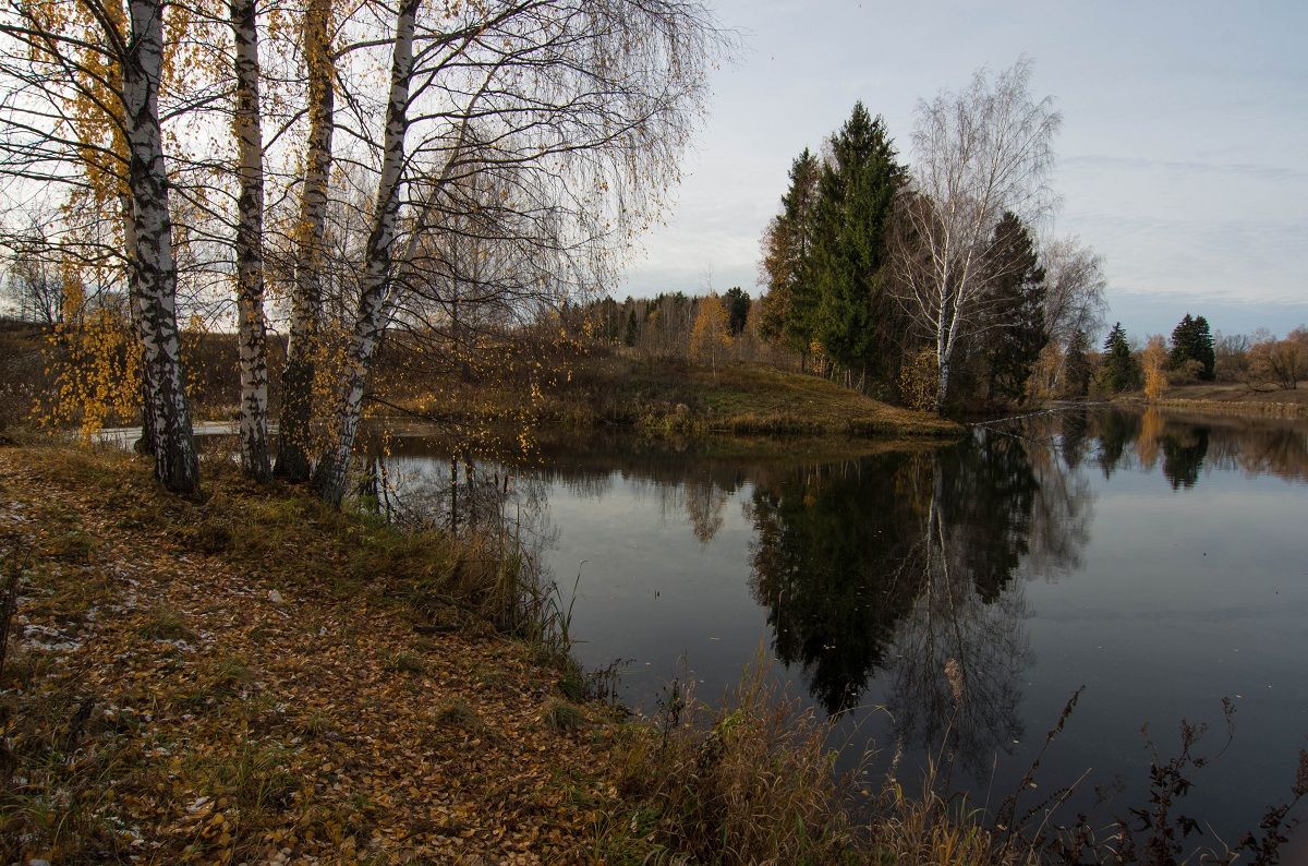 Herbstwandern lautlos durch den Wald ...