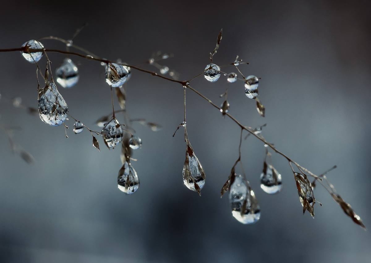 Droplets - Eiszapfen ...