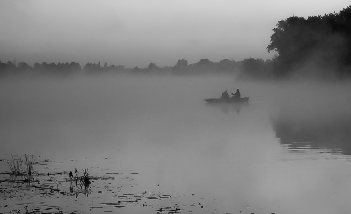 In der nebligen Dunst