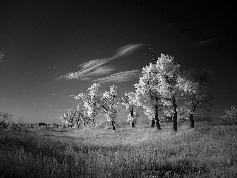 Dies ist die Ukraine!