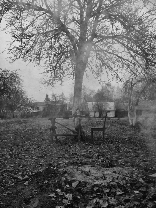 Novembers vorge Winter