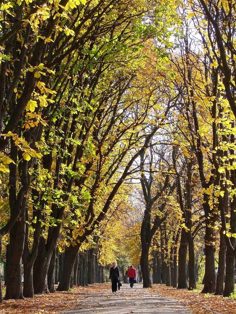 Goldene Allee